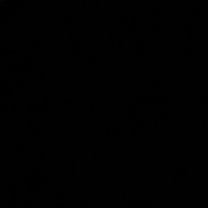 Meet your Posher, Summer